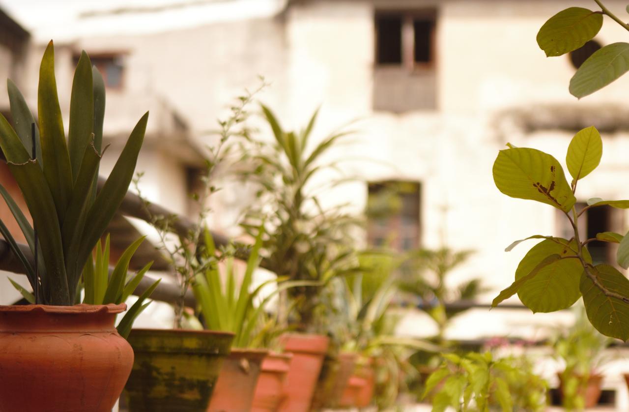 קטמנדו Hostel Milarepa מראה חיצוני תמונה